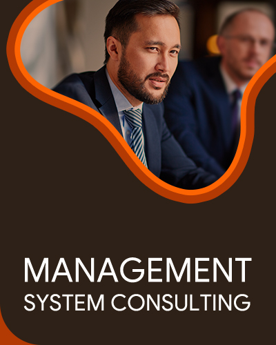 Management System Counsulting Services